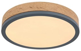 Globo 416080WD1R - LED Stropné svietidlo DORO LED/12W/230V pr. 30 cm