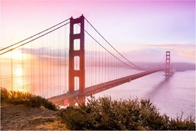 Obraz - San Francisco (90x60 cm)