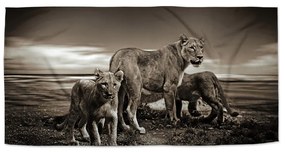 Sablio Uterák Levice a levíčatá - 50x100 cm