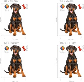 Doberman s loptičkou a kosťou realistické textilné nálepky na stenu pre milovníkov dobermanov arch 31 x 46 cm