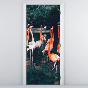 Fototapeta na dvere - Stáda plameniakov (95x205cm)
