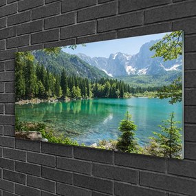 Skleneny obraz Hory jazero les príroda 140x70 cm