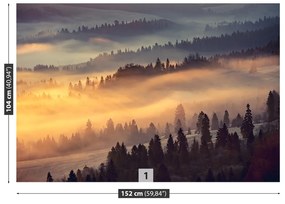 Fototapeta Vliesová Horský les 416x254 cm