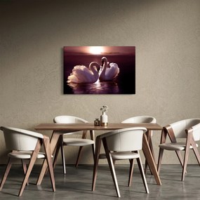 Obraz - Labute na jazere (90x60 cm)