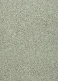 Koberce Breno Metrážny koberec WELLINGTON 44, šíře role 400 cm, zelená