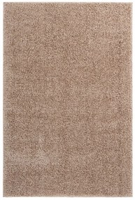 Obsession koberce Kusový koberec Emilia 250 taupe - 120x170 cm