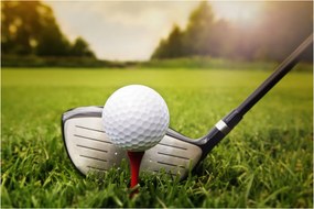 Obraz - Golf (90x60 cm)