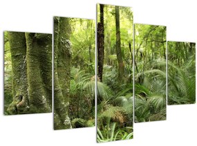 Obraz Tropický dažďový prales (150x105 cm)