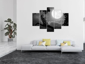 Obraz - Nočná sova, čiernobiela (150x105 cm)