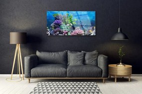 Skleneny obraz Akvárium rybičky pod vodou 125x50 cm