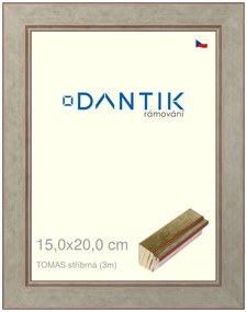 DANTIK rám na obraz 15x20 | TOMAS stříbrná (Sklo Čiré)