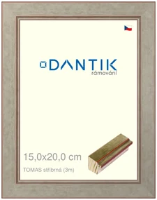 DANTIK rám na obraz 15x20 | TOMAS stříbrná (Sklo Čiré)
