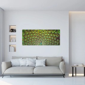 Obraz - Páv (120x50 cm)