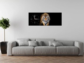 Gario Obraz s hodinami Silný tiger Rozmery: 100 x 40 cm