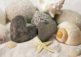Fototapeta - Kamene a mušle na pláži (254x184 cm)