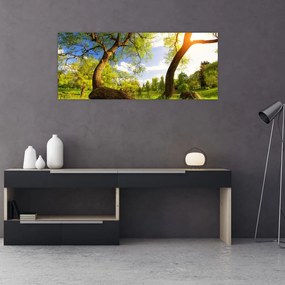 Obraz jarnej lúky (120x50 cm)