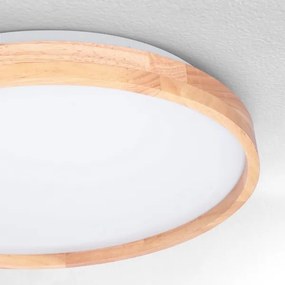 Brilagi - LED Stmievateľné stropné svietidlo ALSON LED/48W/230V 3000-6500K + DO