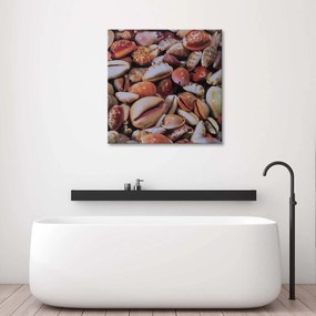 Gario Obraz na plátne Malé mušle zblízka Rozmery: 30 x 30 cm