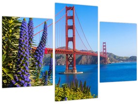 Obraz - Golden Gate Bridge, San Francisco (90x60 cm)