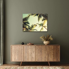 Obraz s kokosovými palmami (70x50 cm)