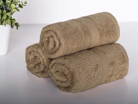 XPOSE® Froté uterák VERONA 3 ks - hnedý 30x50 cm