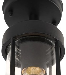 Rustikálne vonkajšie stropné svietidlo čierne so sklom IP44 - Elza