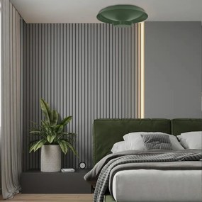 Toolight Toolight, LED stropné svietidlo 40cm, 14W, APP1460, zelená, OSW-04188