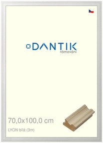 DANTIK rám na obraz 70x100 | LYON Bílá (Plexi Čiré)