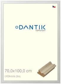 DANTIK rám na obraz 70x100 | LYON Bílá (Plexi Čiré)