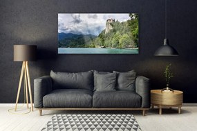 Obraz plexi Zámok v horách les príroda 120x60 cm