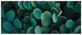 Obraz - Opuncie (120x50 cm)