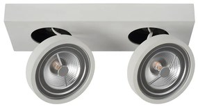 Lucide 09920/20/31 - LED Stmievateľné bodové svietidlo NENAD AR111 G53/2x10W/18V
