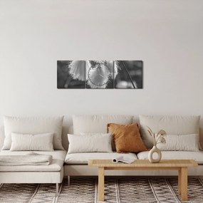 Obraz - Cottongrass (s hodinami) (90x30 cm)