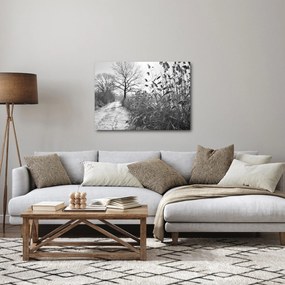 Obraz - Pole v zime (70x50 cm)