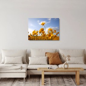 Sklenený obraz poľa s jasne žltými kvetmi (70x50 cm)