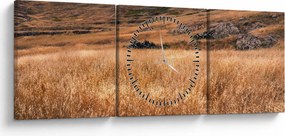 Obraz pole (s hodinami) (90x30 cm)