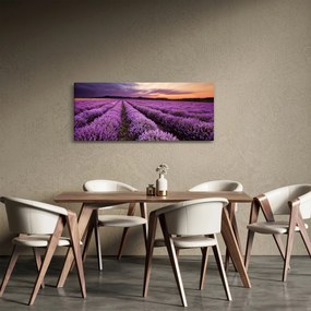 Obraz - Levanduľové pole pri západe slnka (120x50 cm)