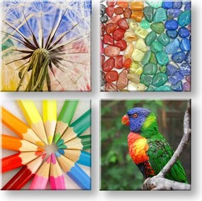Obraz na stenu Colorful vibes 4 dielny XOBKOL20E42