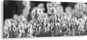 Obraz - Letná lúka (120x50 cm)