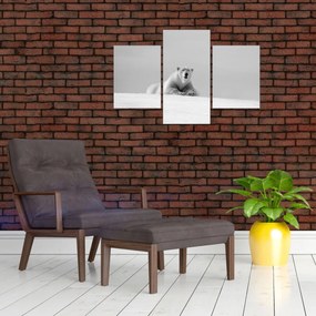 Obraz - Ľadový medveď (90x60 cm)