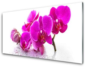 Obraz na skle Kvety rastlina 140x70 cm