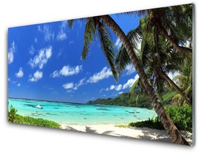 Obraz na akrylátovom skle Palma strom more krajina 140x70 cm