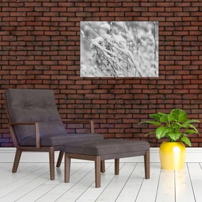 Sklenený obraz - Zasnežené vetvy (70x50 cm)