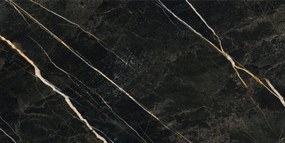 Dlažba Wacom Forest Pulido 60x120 R
