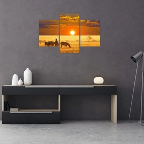 Obraz - Zebry so západom slnka (90x60 cm)