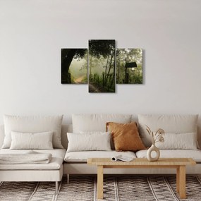 Obraz rannej hmly (90x60 cm)