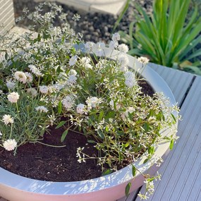 Okrasná miska PLANA, sklolaminát, Ø 44 cm x výška 11 cm, betón design