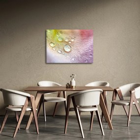 Obraz - Kvapôčky (70x50 cm)