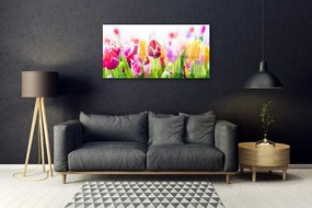 Obraz na skle Tulipány kvety 125x50 cm