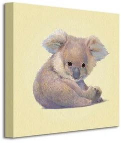 Art Group Obraz na plátne Koala Butler John Rozmery: 40 x 40 cm